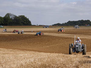 Ploughing Match at Stag Park Farm 2009